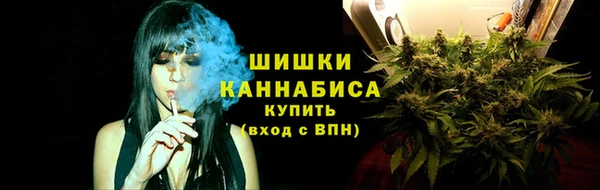 spice Инсар