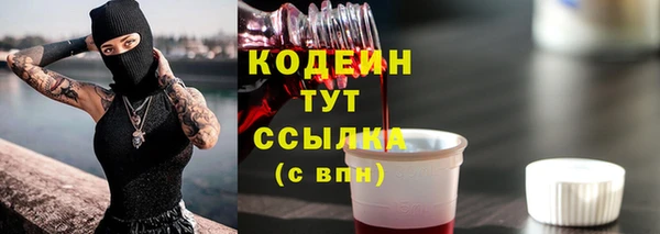 spice Инсар