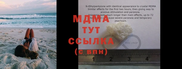 ПСИЛОЦИБИНОВЫЕ ГРИБЫ Инта