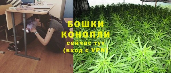 spice Инсар