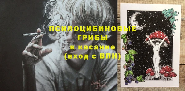 spice Инсар