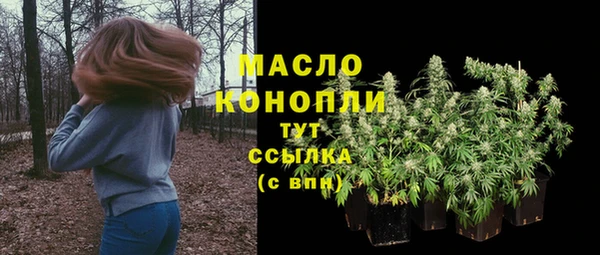 spice Инсар