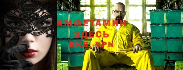 ПСИЛОЦИБИНОВЫЕ ГРИБЫ Инта