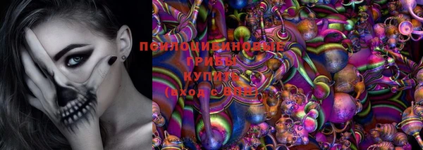 ПСИЛОЦИБИНОВЫЕ ГРИБЫ Инта