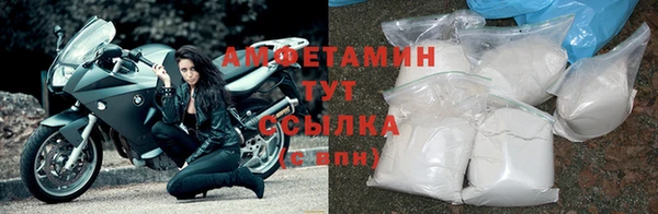 ПСИЛОЦИБИНОВЫЕ ГРИБЫ Инта