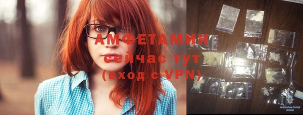 ПСИЛОЦИБИНОВЫЕ ГРИБЫ Инта
